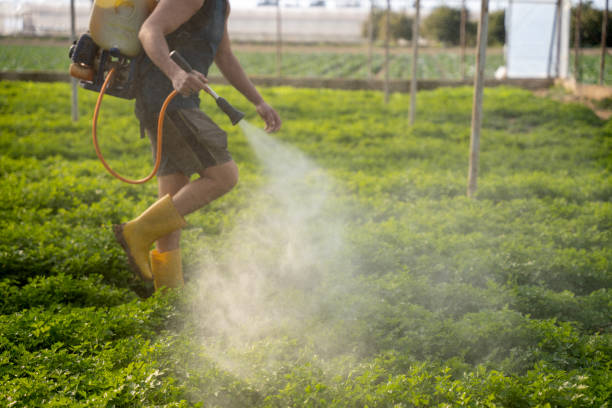Best Affordable Pest Control Services  in Savage, MN