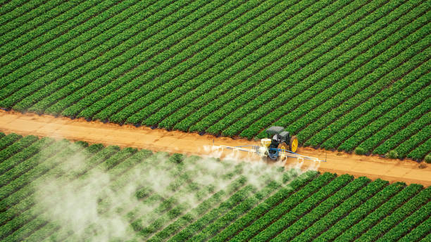Best Commercial Pest Control Services  in Savage, MN