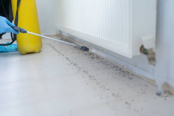 Best Pest Control Near Me in Savage, MN