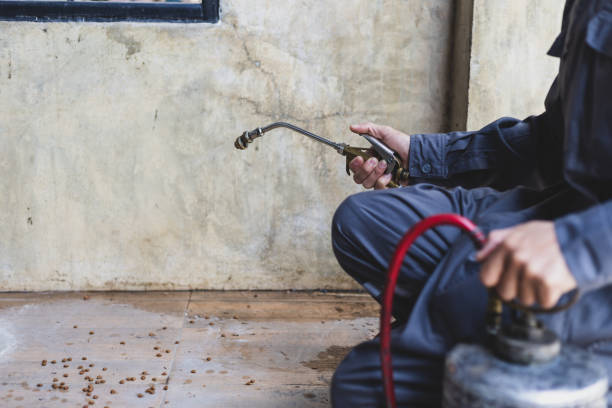 Best Flea Control Services  in Savage, MN
